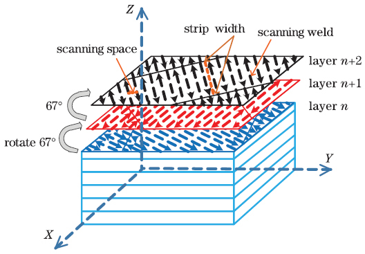 Schematic of scanning strategy