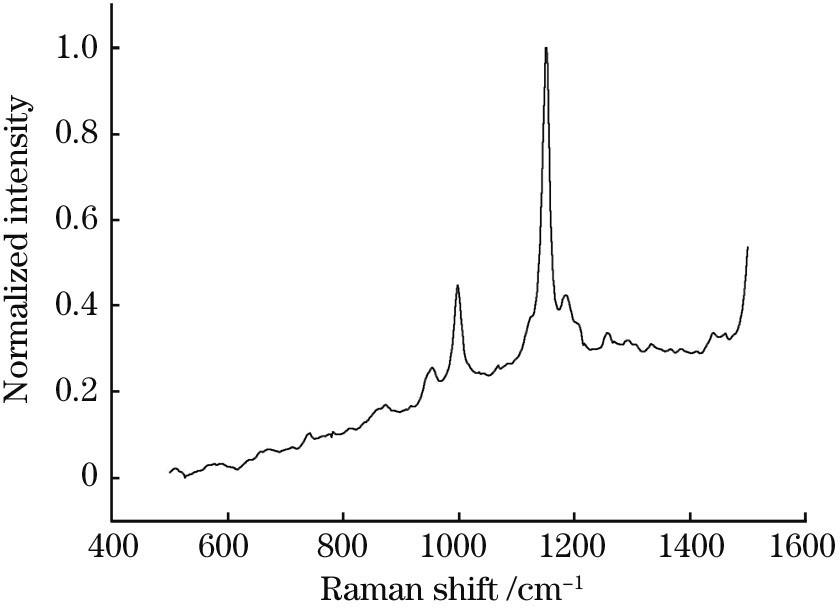 Raman spectra after normalization