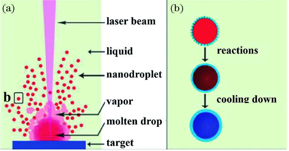 Formation and cooling of nanodroplets[9]. (a) Formation of nanodroplets; (b) cooling of nanodroplets