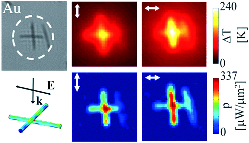 Energy distribution in crossed Au nanowires structure under polarized laser excitation[40-41](up: experimental results; down: simulation results. Wavelength: 532 nm)
