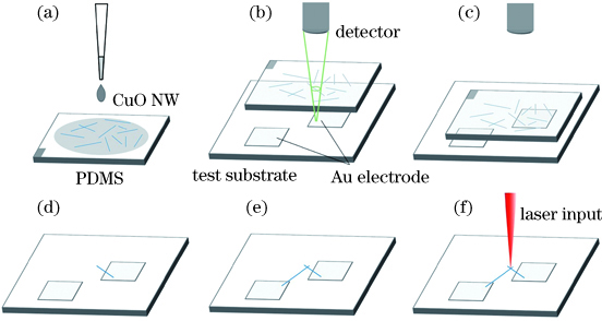 Experimental flow of femtosecond laser connection CuO nanowires. (a) Dispersing CuO nanowires on PDMS; (b) target location selection under light mirror; (c) pressing down PDMS to substrate surface; (d) removal of nanowires by heating; (e) repeat (a)--(d) to form joint; (f) laser irradiation