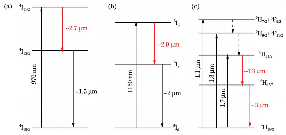Simplified energy level diagrams of different ions emitting in～3 μm band. (a) Er3＋；(b) Ho3＋；(c) Dy3＋