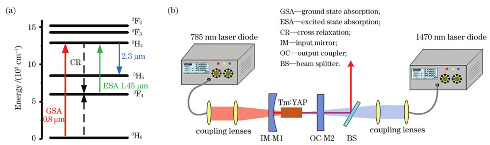 Overall experimental scheme. (a) Energy level diagram of GSA and ESA dual-wavelength pumped scheme；(b) experimental arrangement for GSA and ESA dual-wavelength pumped Tm∶YAP laser