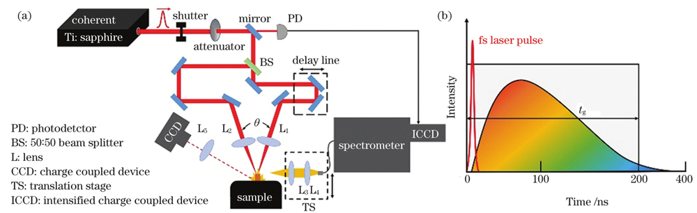Plasma-grating-induced breakdown spectroscopy system. (a) Schematic of experimental setup; (b) schematic of spectrum acquisition timing