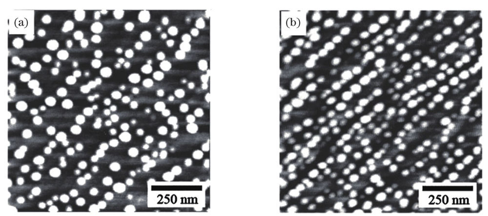 Atomic force microscope photographs of InAs quantum dots in tunnel-coupled well－dot composite structures with different GaAs barrier layer thicknesses[28]. (a) 5 nm; (b) 0.5 nm