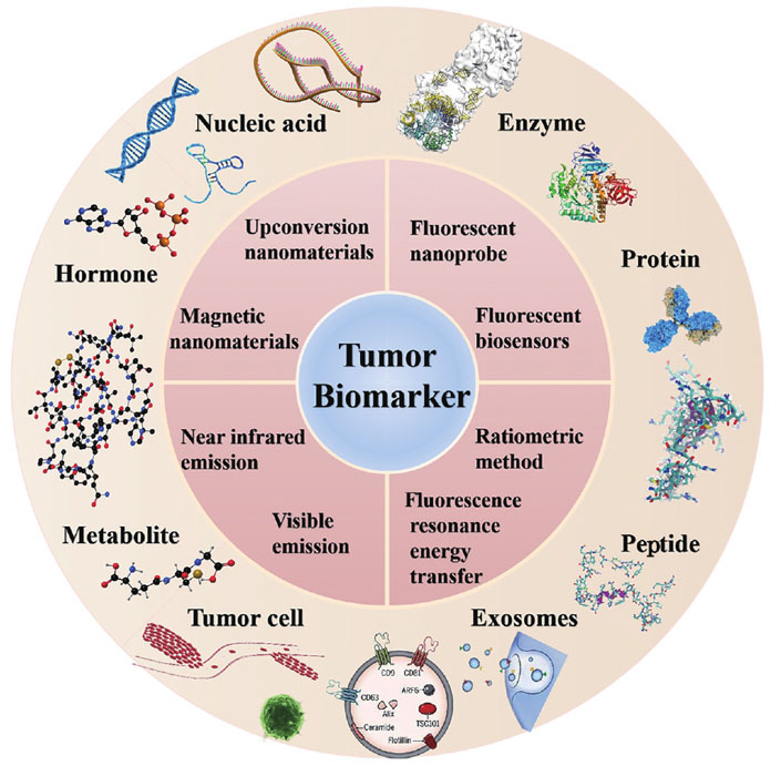 Main types of tumor biomarkers[4，10-14]
