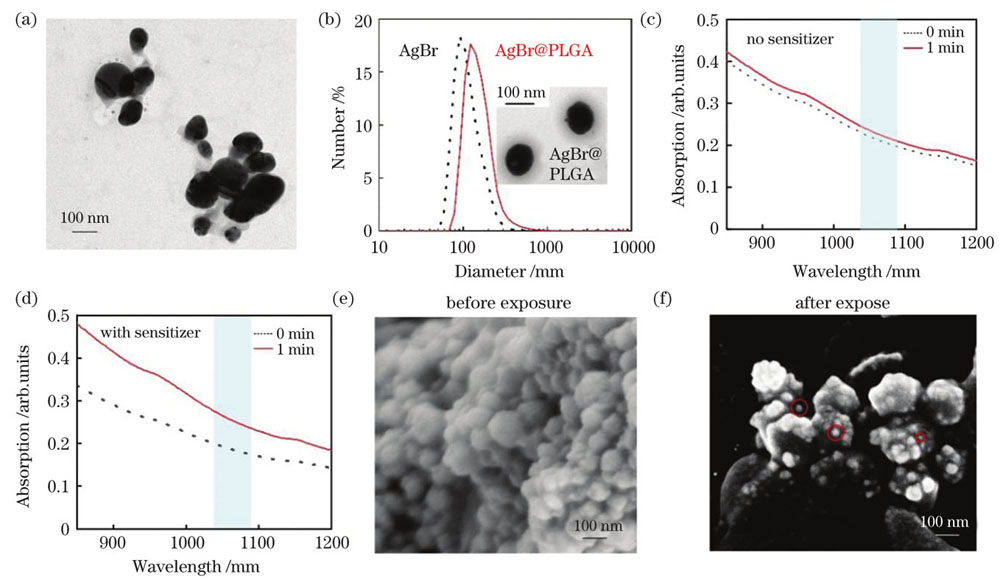 Characterization of AgBr@PLGA nanocrystals. (a) Transmission electron microscopy (TEM) image of AgBr; (b) hydrodynamic diameters of AgBr and AgBr@PLGA nanocrystals, where the insets are TEM images of AgBr@PLGA nanocrystals; (c) absorption spectra of AgBr@PLGA nanocrystals without sensitizer before and after exposure; (d) absorption spectra of AgBr@PLGA nanocrystals with sensitizers before and after exposure; (e) scanning electron microscopy (SEM) image of AgBr@PLGA nanocrystals before exposure; (f) SEM image of AgBr@PLGA nanocrystals after exposure