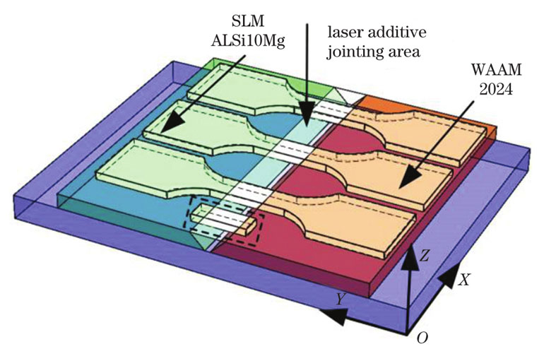 LAJ diagram of heterogeneous aluminum alloy and sampling diagram of tensile parts