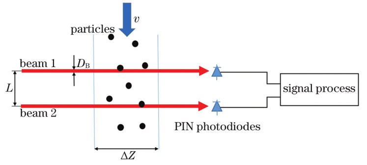 Measurement principle diagram of transmission fluctuation correlation spectrometry