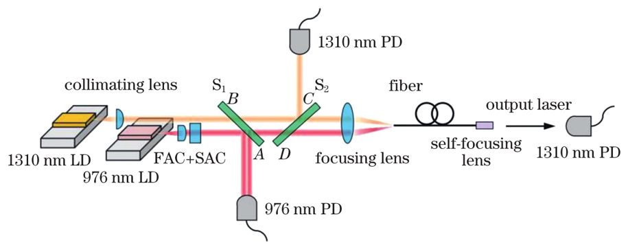 Schematic of light path structure
