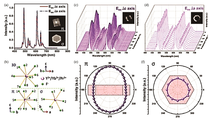 Excitation polarization properties of rare-earth-doped upconverting materials. (a) Normalized upconverting luminescent spectra of single β-NaYF4∶Yb,Pr microcrystal in π- and σ-configuration; (b) site symmetry illustration of Y3+/Yb3+/Pr3+ ion in hexagonal NaYF4 structure; (c), (d) luminescent spectra of single β-NaYF4∶Yb,Pr microcrystal in π- and σ-configuration, recorded at excitation polarization angles varying from 0° to 360°, without polarizer in detection part; (e), (f) polar plots of integrated luminescence intensity as function of excitation polarization angle for blue emission of β-NaYF4∶Yb,Pr microcrystal in π- and σ-configuration[12]