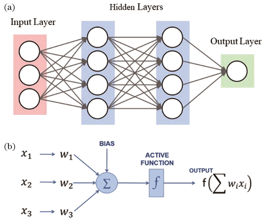 Architecture of multi-layer perceptron network[29]. (a) Network structure; (b) mathematics process of perceptron