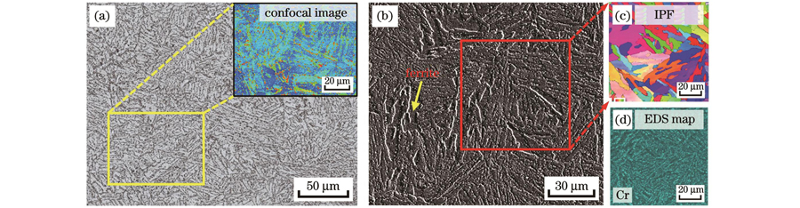 Microstructures of 30Cr3 base metal. (a) Optical and confocal images; (b) SEM image; (c) IPF; (d) EDS plane distribution of Cr element