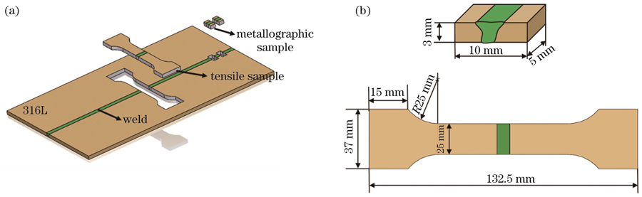 Schematic of sampling and sample dimension. (a) Schematic of sampling; (b) dimensions of metallographic and tensile samples