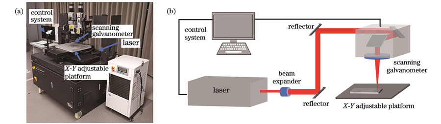 Schematics of laser and optical path. (a) Physical picture of laser; (b) schematic of laser optical path