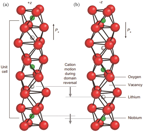 Structure diagram of lithium niobate[30]. (a) Above Curie temperature; (b) below Curie temperature. Red balls represent O2-, white balls represent Li+, and green balls represent Nb5+