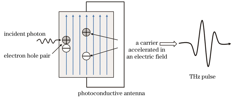 The photoconductive antenna generating terahertz wave
