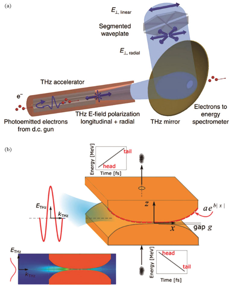 Terahertz electron acceleration using cylindrical waveguide and tapered parallel-plate waveguide. (a) Cylindrical waveguide[14]; (b) tapered parallel-plate waveguide[53]