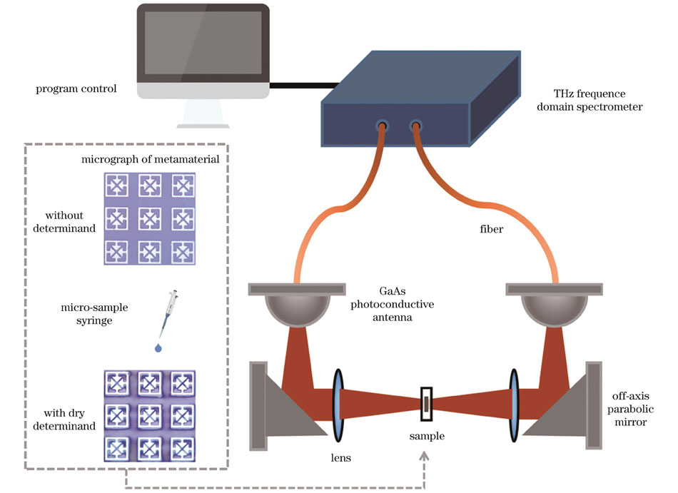 Schematic of experimental set up with micrographs of metamaterials without determinand and with dry determinand shown in inset