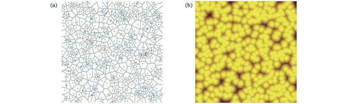 Thiessen polygons and random microlens arrays based on Thiessen polygonal arrangements. (a) Thiessen polygons; (b) random microlens array