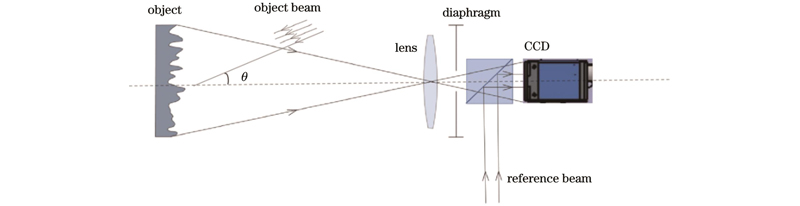 Schematic diagram of digital holographic diffuse imaging system