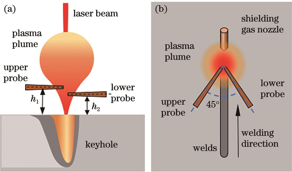 Schematic diagrams of passive electric probe device. (a) Side view; (b) top view