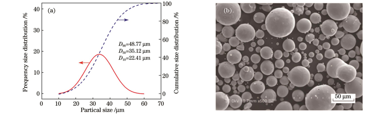 316L stainless steel powder. (a) Particle size distribution; (b) SEM microscopic image