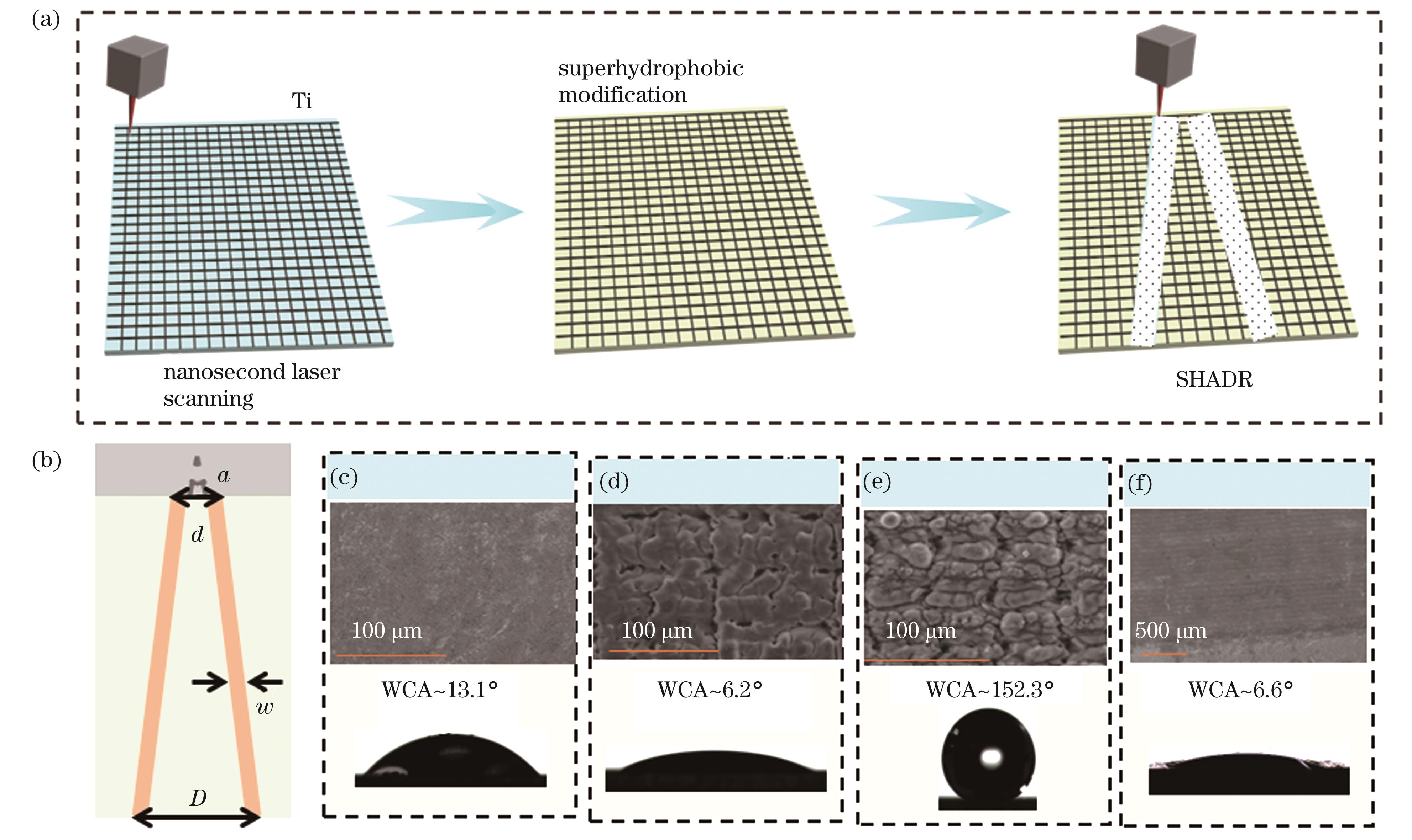 Preparation process and morphology characterization of SHADR structure. (a) Preparation process of SHADR structure; (b) parameters of SHADR structure; (c) original Ti surface and wettability; (d) Ti surface and wettability after laser machining; (e) Ti surface and wettability after superhydrophobic modification; (f) SHADR surface and wettability