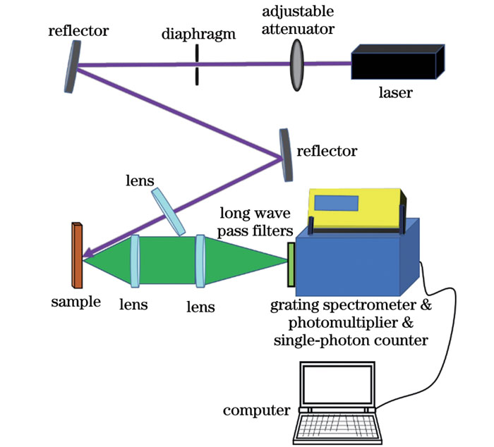 Experimental system for laser-induced steady fluorescence spectroscopy