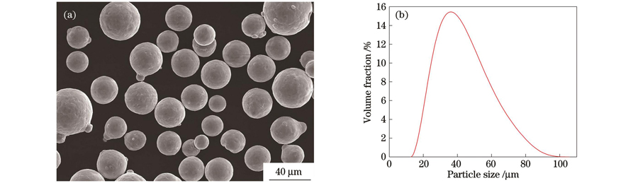 AlMgScZr alloy powder. (a) Morphology of powder; (b) size distribution