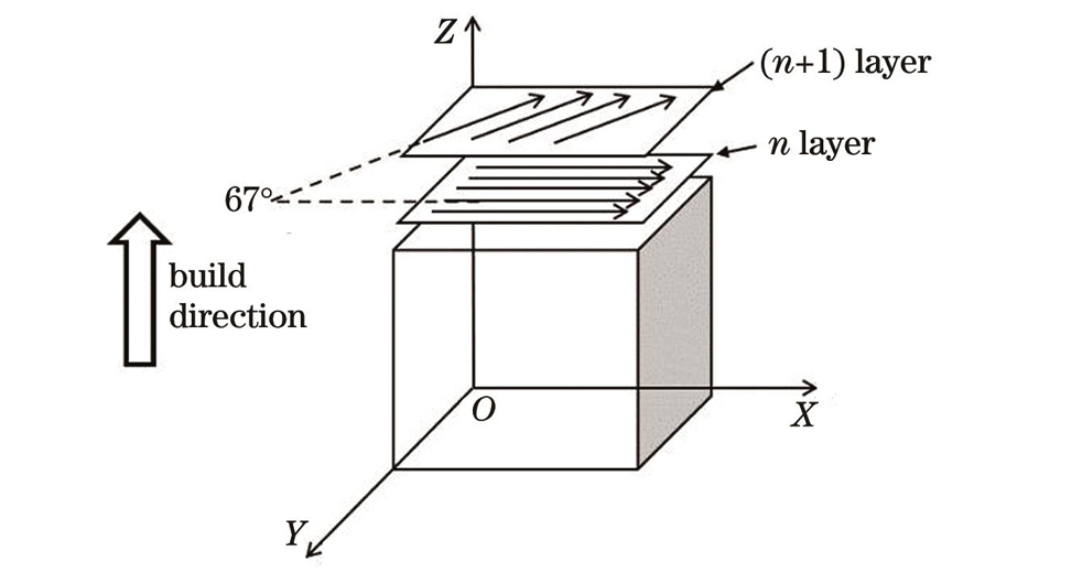Schematic of sample printing direction and scanning strategy