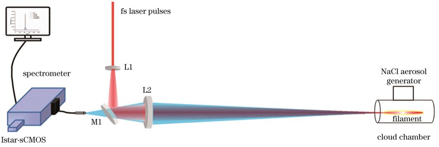 Schematic of filament-induced fluorescence spectrum (FIFS) collection device