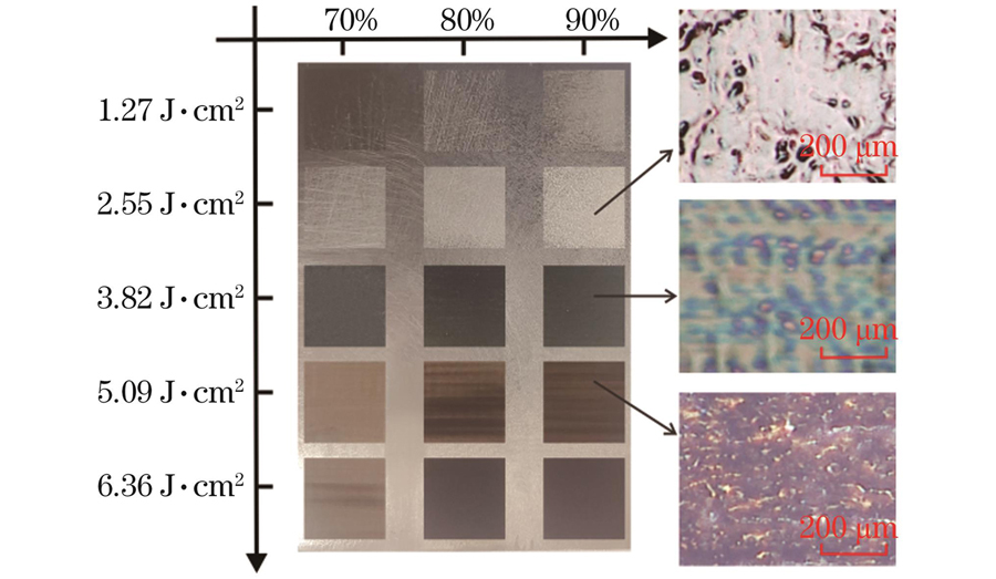 Macroscopic and microscopic images of laser melting layer