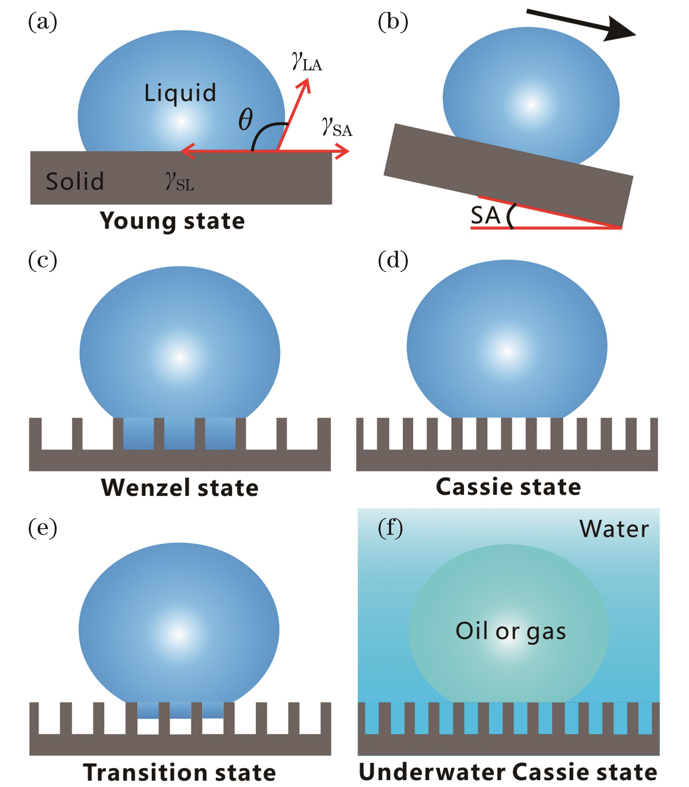 Basic concepts related to surface wettability and several typical wettability models. (a) Droplet on smooth surface and contact angle (θ); (b) Sliding angle (SA); (c)-(e) Droplet contact on rough microstructure: Wenzel contact state (c), Cassie contact state (d), and Wenzel-Cassie transition contact state (e); (f) Underwater Cassie contact state