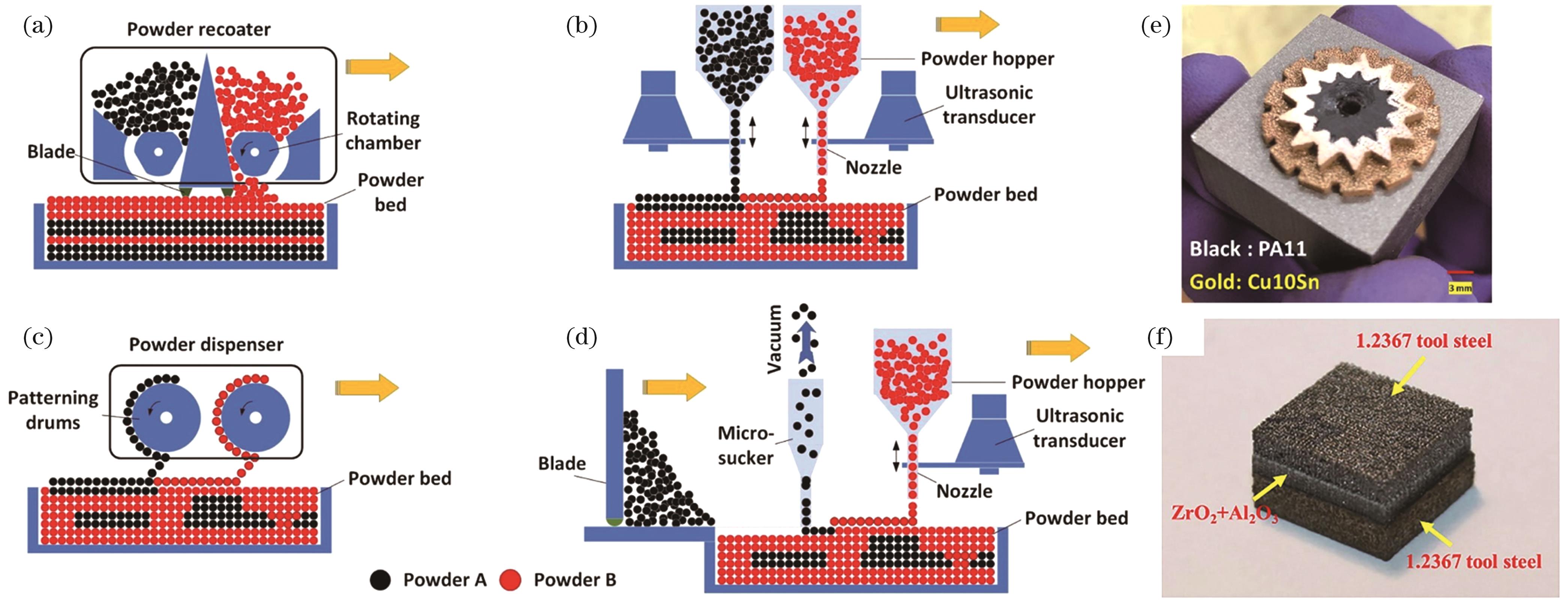 Schematic diagrams of multi-material powder dropping/spreading methods[5,7,12] and material parts with significant differences in physical properties fabricated by L-PBF[5,13]. (a) Blade-based dual powder spreading; (b) ultrasonic-based dual powder dropping; (c) electrophotographic-based dual powder dropping; (d) “blade + ultrasonic” hybrid powder spreading; (e) polymer PA11-Cu10Sn heterostructure; (f) steel-ceramic heterostructure