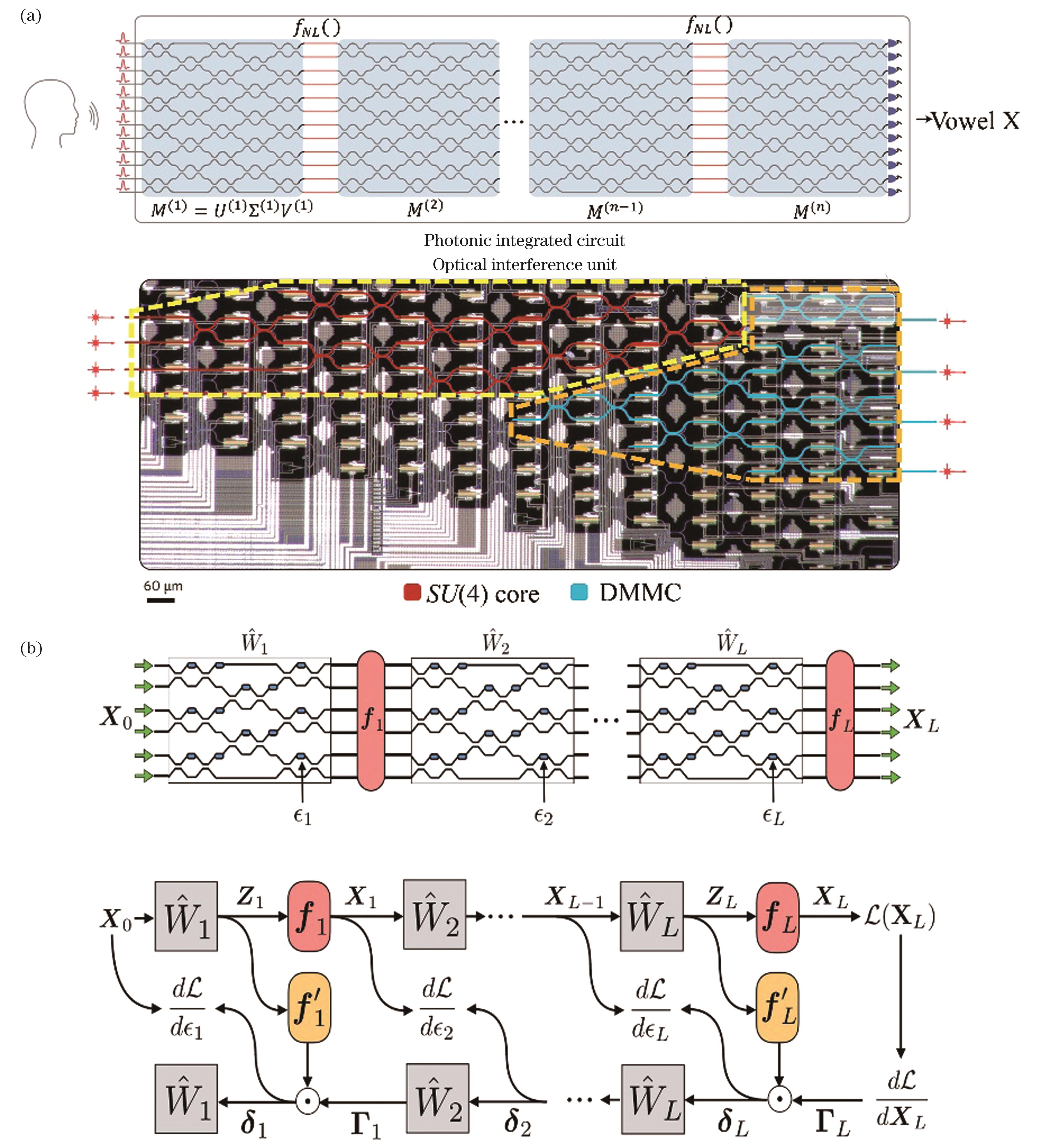 On-chip optical neural networks based on MZI interference structure. (a) MZI topology cascaded array[25]; (b) ONN supporting in-situ online training and gradient backpropagation[27]