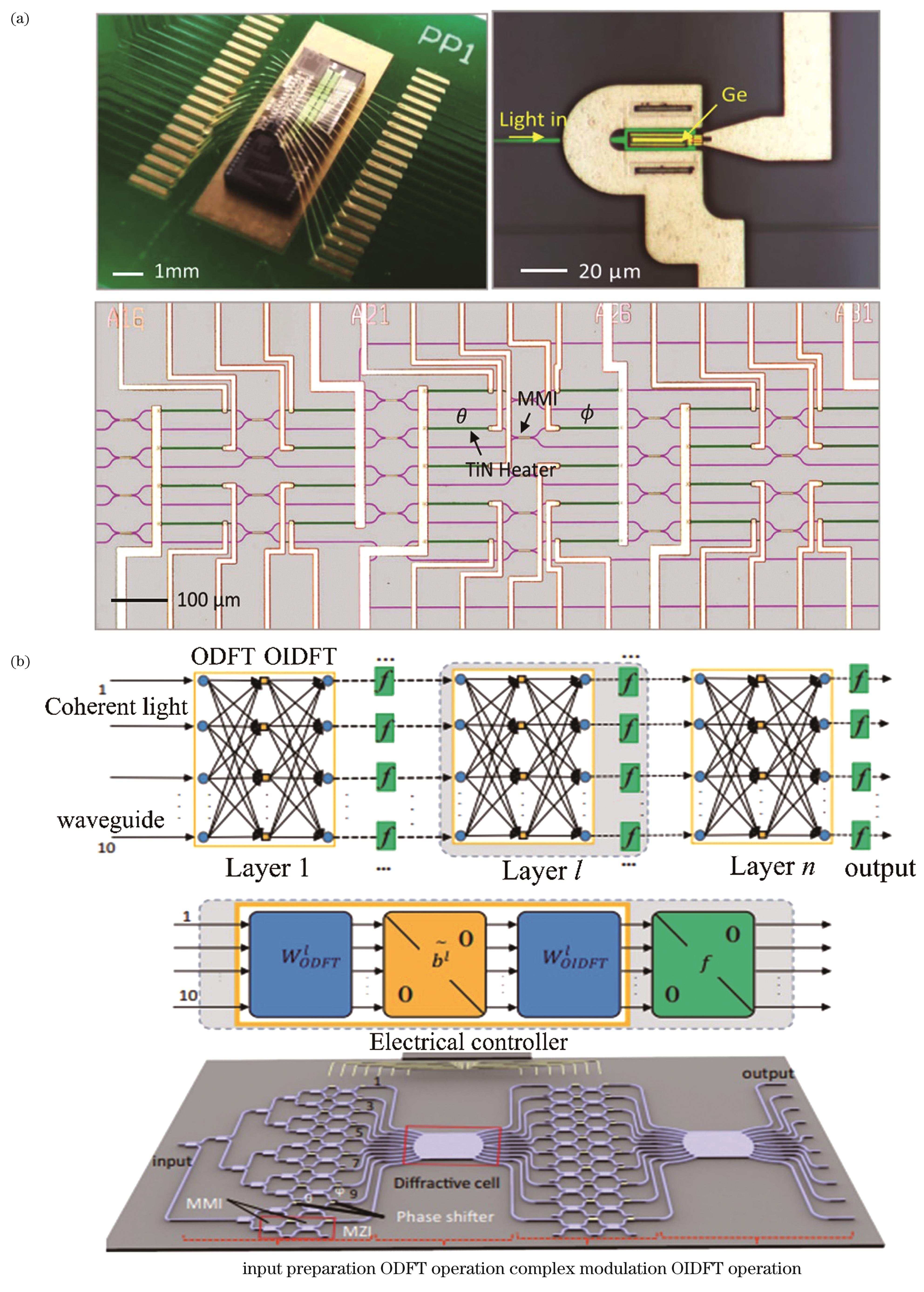 Improved on-chip optical neural networks based on MZI interference structure. (a) Complex ONN based on MZI array[41]; (b) ONN based on MZI array and diffractive units[47]