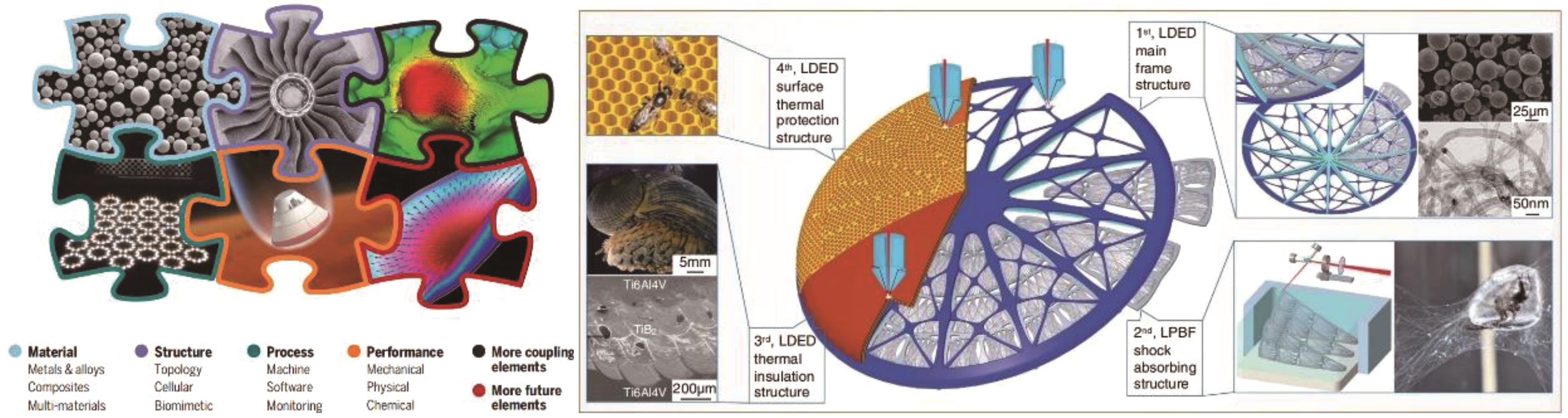 Material‒structure‒performance integrated LAM technology in multifunctional design and manufacturing[7]