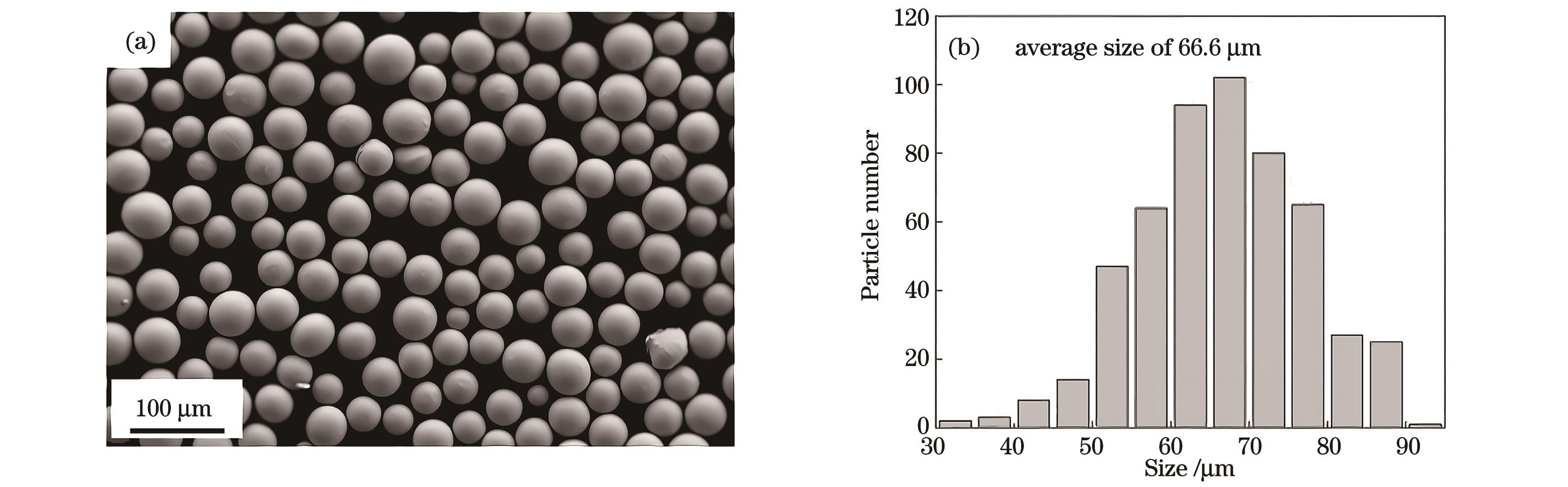 Morphology and particle size distribution of TC17 alloy powder. (a) Morphology; (b) particle size distribution