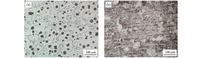Metallographic structures of base materials. (a) QT500-7; (b) 20MnCr5