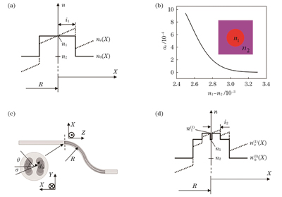 Schematic diagram of refractive index distribution of bent waveguides before and after conformal transformation, influence of n1-n2 on αr, and writing strategy of modification lines. (a) Refractive index distribution before and after conformal transformation without modification lines; (b) change of αr with n1-n2; (c) schematic diagram of writing strategy for modification lines; (d) refractive index distribution before and after conformal transformation when adding modification lines
