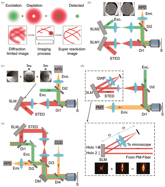 Application of AO in STED microscopy. (a) Schematic of STED microscopy; (b) using two SLMs to correct aberrations in both excitation and STED paths[44]; (c) using AO to align the excitation and STED paths[45]; (d) using the SLM in an off-axis holography configuration[46]; (e) using DM and SLM to correct aberrations in all the three paths[47] (S, specimen; Di, dichroic mirror; APD, avalanche photodiode; Exc., excitation beam; Emi., emission beam; QWP, quarter wave plate; PMT, photomultiplier)