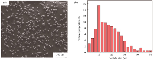 Characteristics of pure Zn powder. (a) SEM morphology; (b) particle size distribution