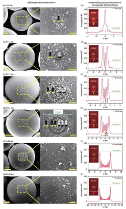 Regulation of dielectric microsphere diameter (D) on the structure of AgNPs/AgMRs