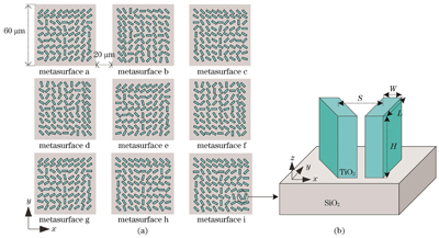 Schematics of the metasurface array and nanopillar structure diagram. (a) Schematic of the metasurface array; (b) nanopillar structure diagram