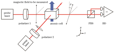 Schematic diagram of LPAS (BD: balanced photodetector; PBS: polarizing beam splitter)