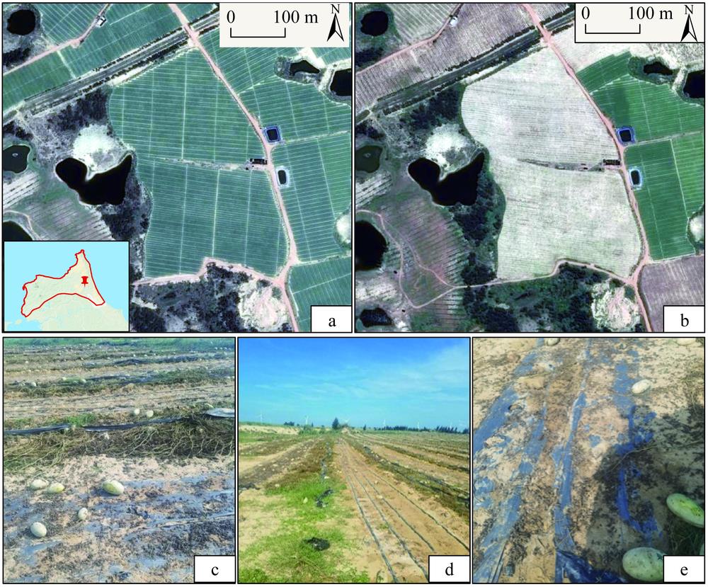 Historical imagery and pictures of dry land in Mulanwan