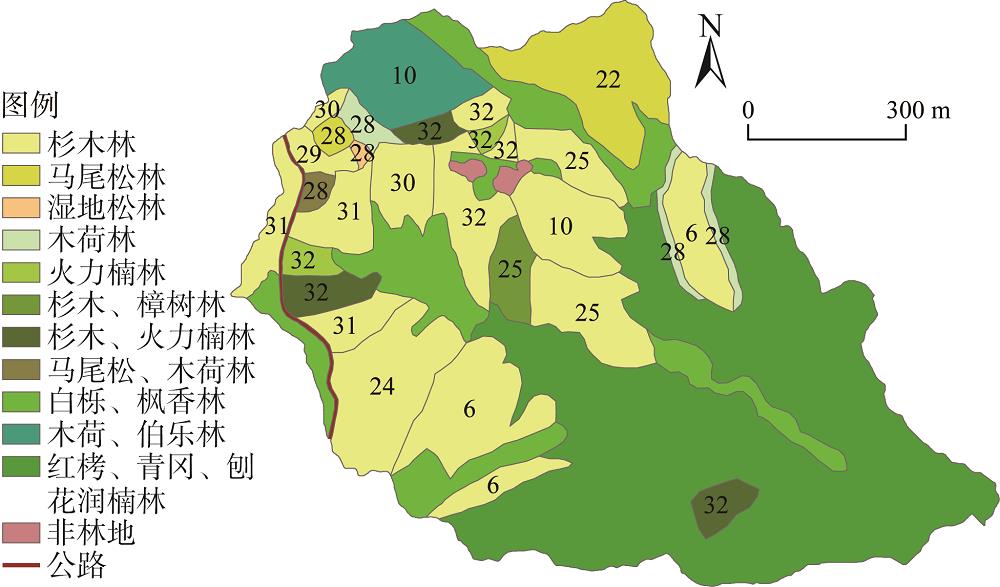 Spatial distribution of forest types in Moshao forest farm