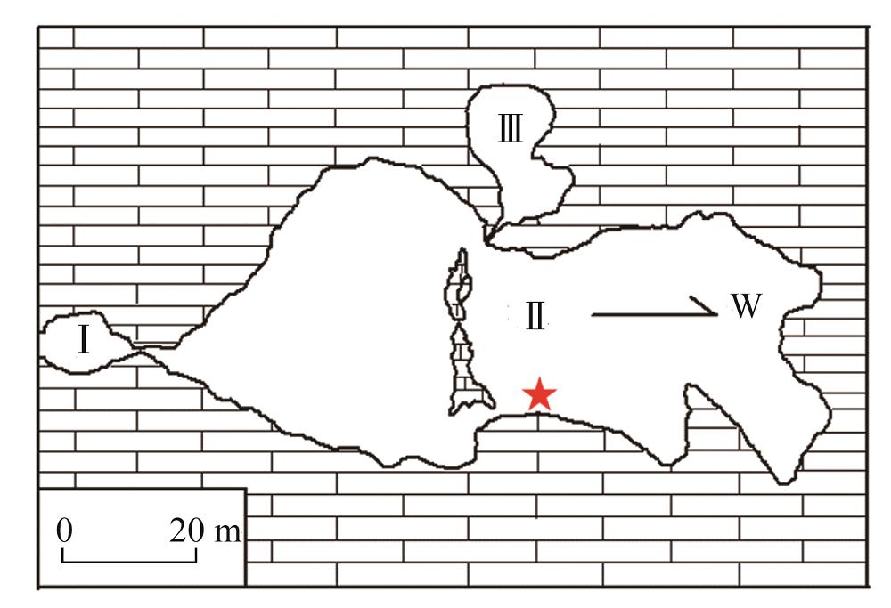 The plain view of Yongxing Cave and the sampling location of YX55