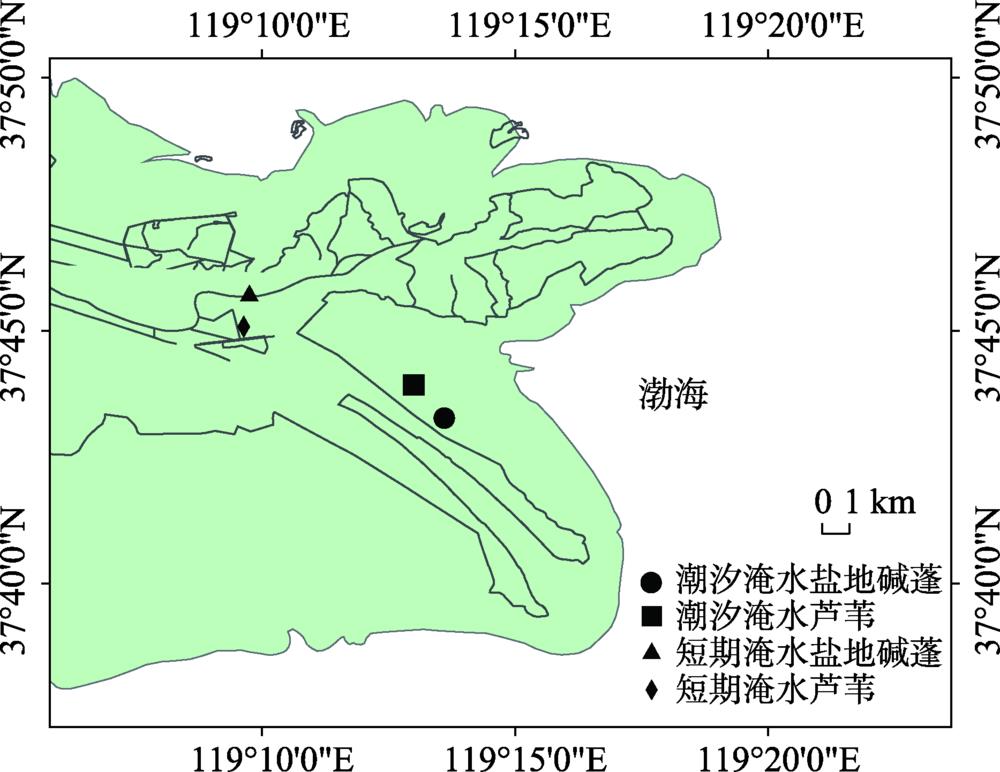 Location of the sampling sites